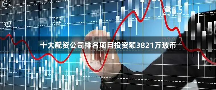十大配资公司排名项目投资额3821万玻币
