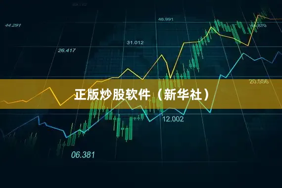 正版炒股软件（新华社）