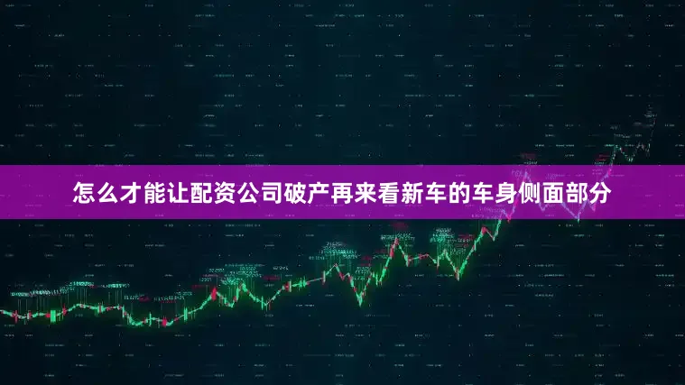 怎么才能让配资公司破产再来看新车的车身侧面部分