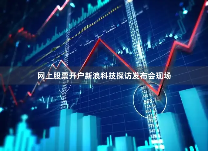 网上股票开户新浪科技探访发布会现场