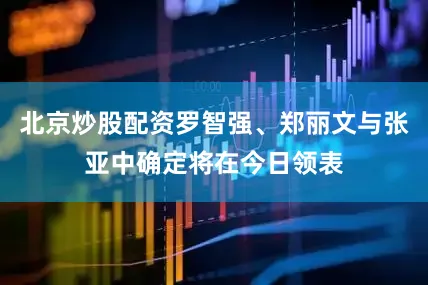 北京炒股配资罗智强、郑丽文与张亚中确定将在今日领表