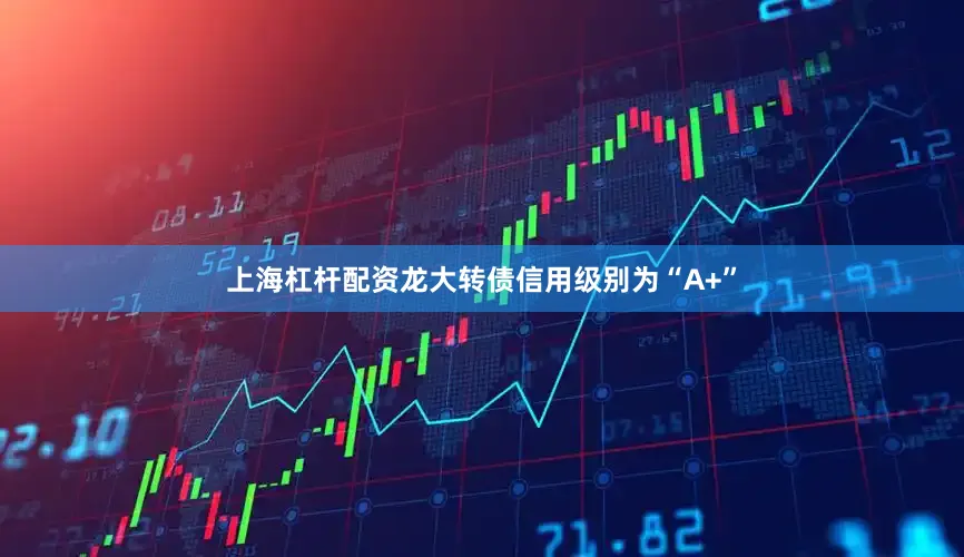 上海杠杆配资龙大转债信用级别为“A+”